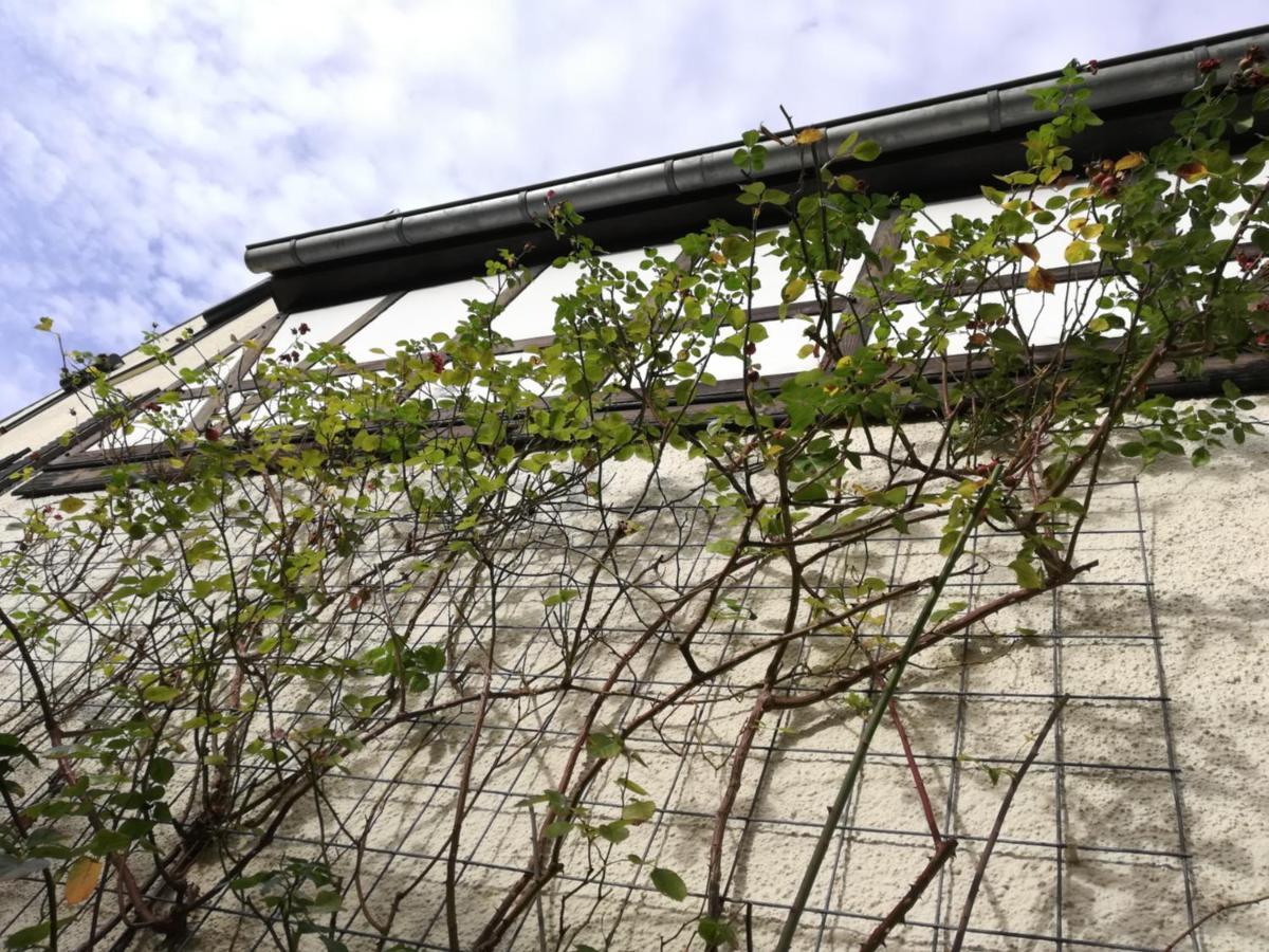 Praesenzhof Lay Apartment Luaran gambar